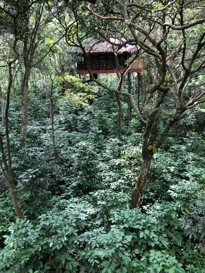 Pepper Trail Hotel Sultan Bathery Luaran gambar