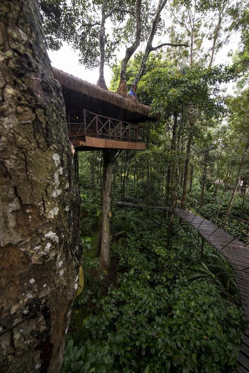 Pepper Trail Hotel Sultan Bathery Bilik gambar