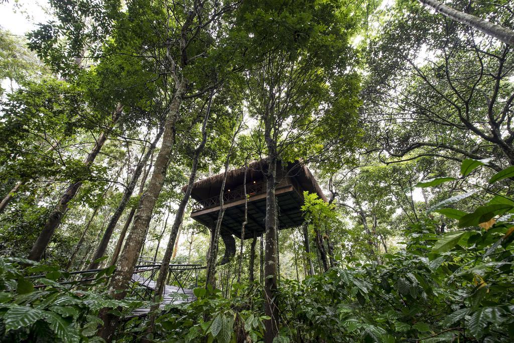Pepper Trail Hotel Sultan Bathery Bilik gambar