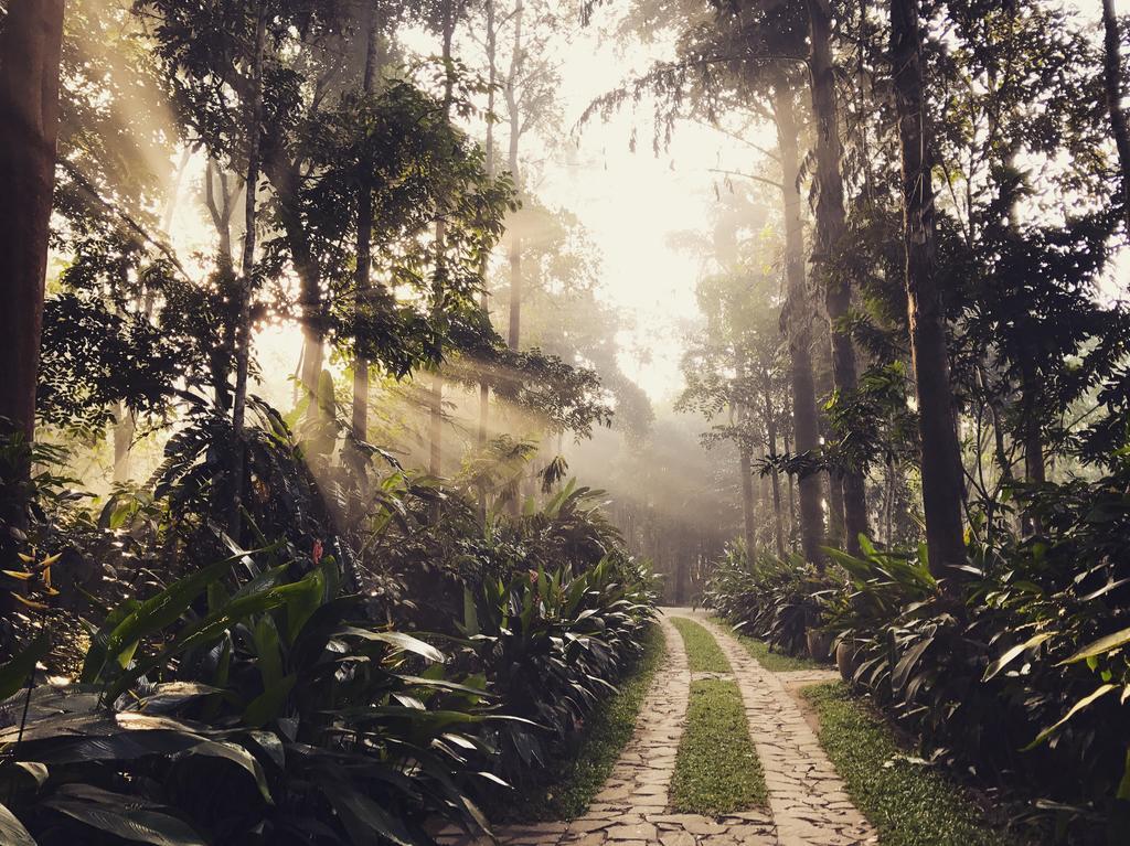 Pepper Trail Hotel Sultan Bathery Luaran gambar